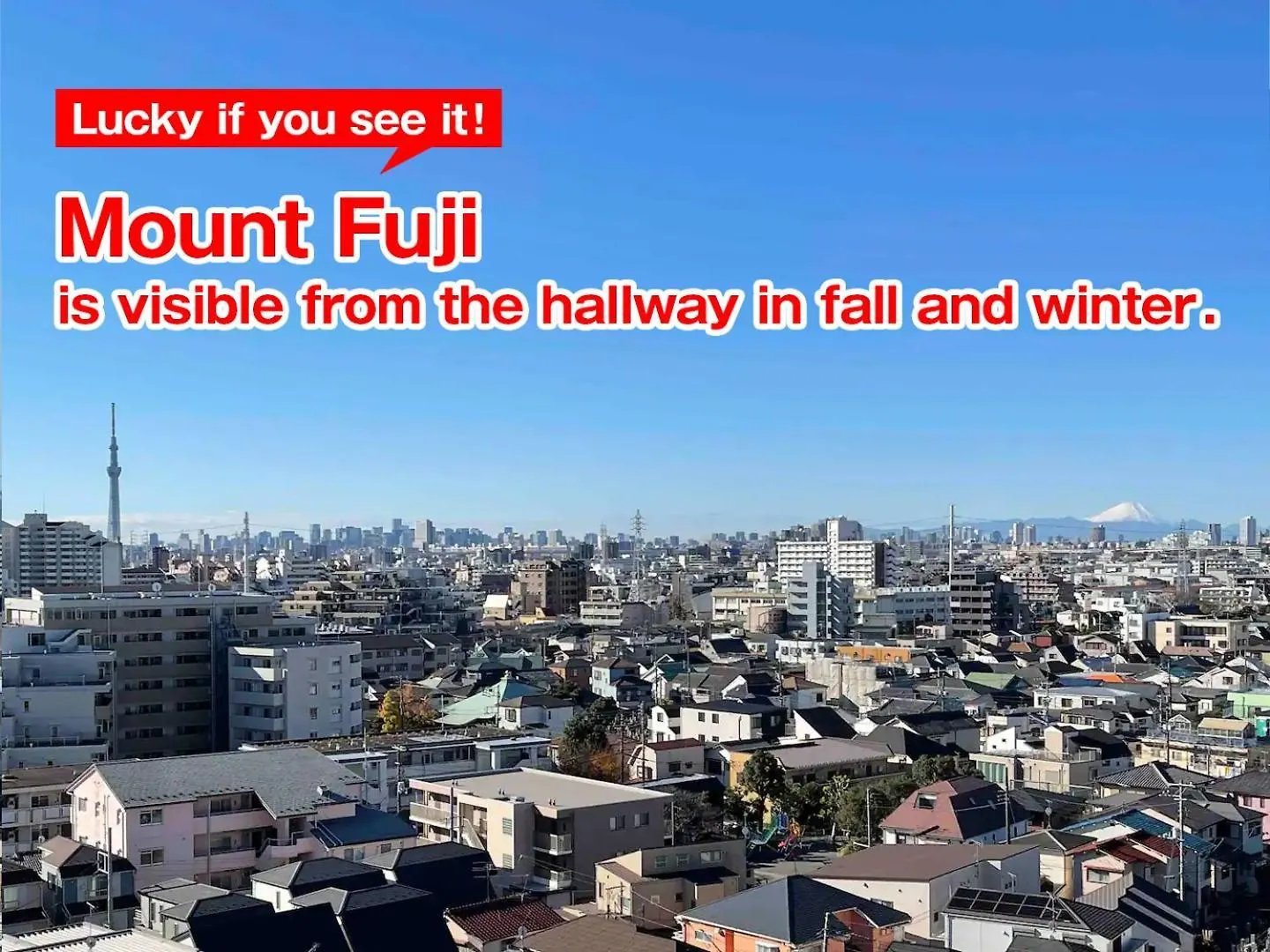 Apartmán Sc Kameari 811 Prefektura Tokio 0*,  Japonsko