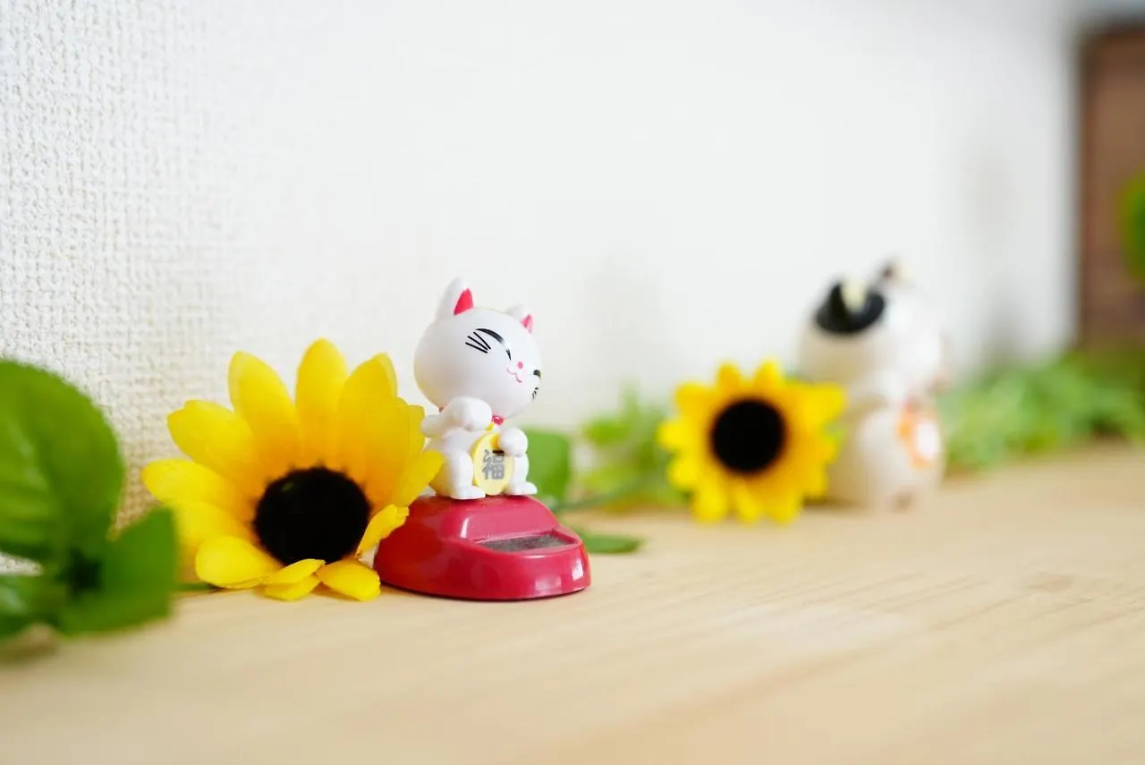 Sc Kameari 811 Daire Tokyo Japonya
